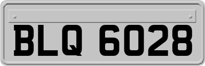 BLQ6028