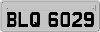 BLQ6029