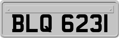 BLQ6231