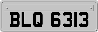 BLQ6313