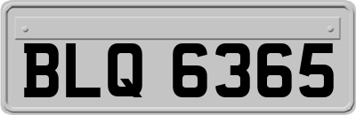 BLQ6365