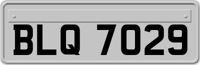 BLQ7029