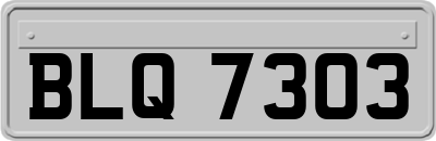 BLQ7303