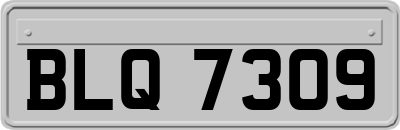 BLQ7309