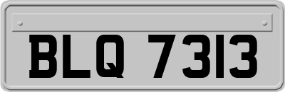 BLQ7313
