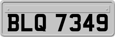 BLQ7349