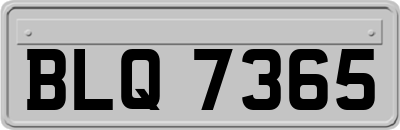 BLQ7365