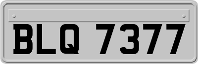 BLQ7377