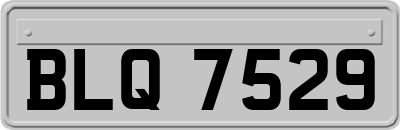 BLQ7529