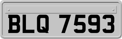 BLQ7593