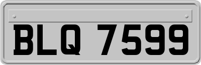 BLQ7599