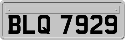 BLQ7929