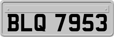 BLQ7953