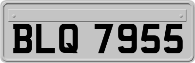 BLQ7955