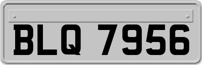 BLQ7956