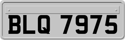 BLQ7975