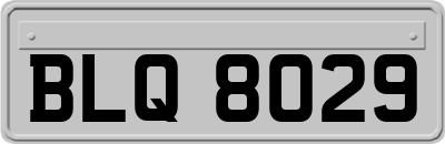 BLQ8029