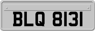 BLQ8131