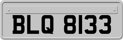 BLQ8133