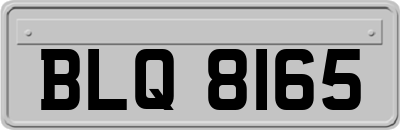 BLQ8165