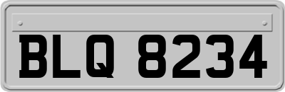 BLQ8234