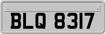 BLQ8317