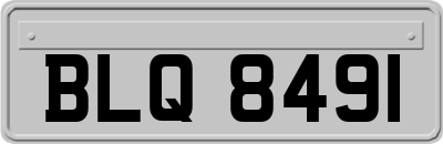 BLQ8491