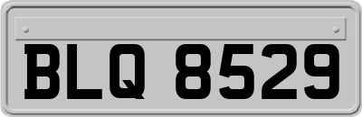 BLQ8529