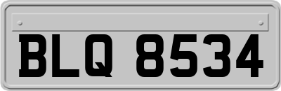 BLQ8534