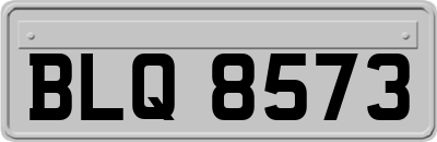 BLQ8573