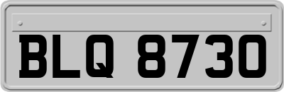 BLQ8730