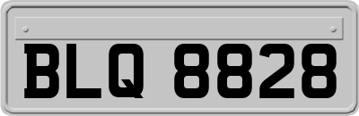 BLQ8828