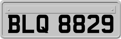 BLQ8829