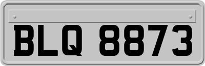 BLQ8873