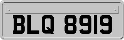 BLQ8919
