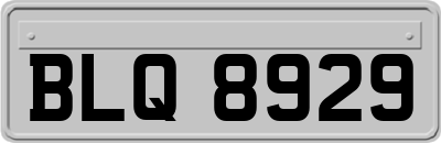 BLQ8929