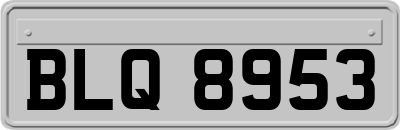 BLQ8953