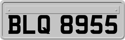 BLQ8955