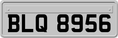 BLQ8956