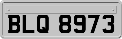 BLQ8973