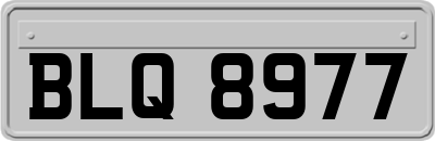 BLQ8977