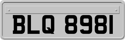 BLQ8981