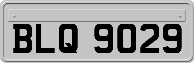 BLQ9029