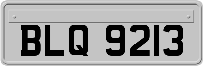 BLQ9213