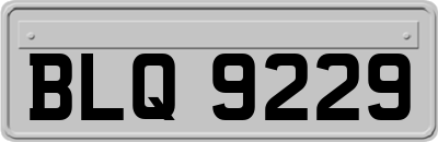 BLQ9229