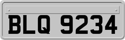 BLQ9234