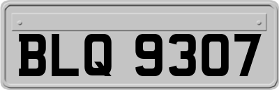 BLQ9307