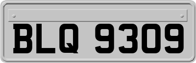 BLQ9309