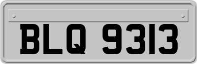 BLQ9313