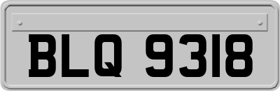 BLQ9318